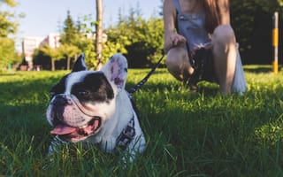 embark