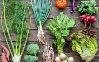 From crickets to culinary incubators: 6 Austin food tech startups you should know