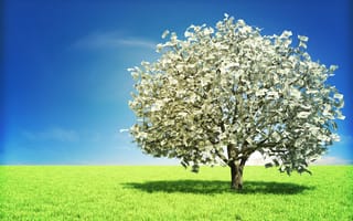 Austin tech companies raised $133M in March. These were the 5 biggest rounds