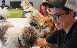 Don't Settle. Find a Career You Love at These Austin Tech Companies.