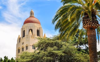 a palm tree in the foreground and the iconic bell tower of Stanford in the background