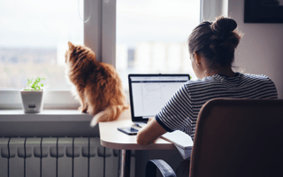 Newly Remote? This Tech Leader Has 7 Tips to Support a Productive Team.