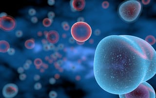 Boston Biotech Startup Raises $20M in Funding, Licenses T Cell Technology From Seattle