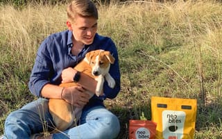Sustainable Dog Food Startup Neo Bites Wants Crickets to Replace Kibble