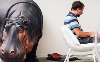 What Unicorn Status Really Means for Hippo Insurance