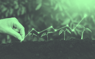 build-business-credibility