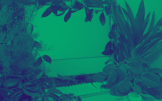 computer in vegetation