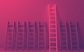 Ladders propped on a wall, the biggest one stands out, leadership development