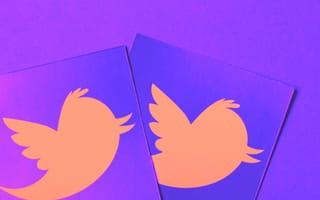 Bird outlines on cards, twitter marketing