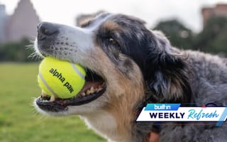Alpha Paw Raised $8M, Lendflow Got $10.8M, and Other Austin Tech News