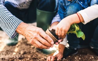 adult and child gardening