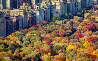 New York City during the fall