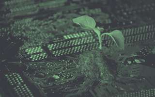 A green-toned image of a sprout growing out of a circuit board. /greentech/startups-leading-sustainability