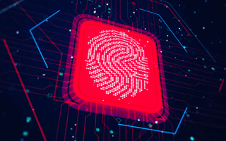 information security analyst defending against digital threats.n