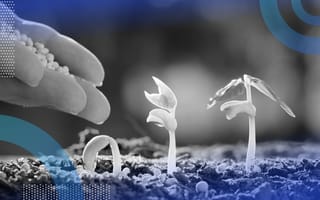 A human hand sprinkles fertilizer pellets onto small plants sprouting from the ground. /growth-hacking/compliance-as-growth-accelerant