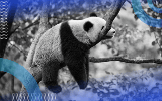 how to speed up pandas panda in a tree