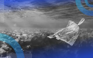 A torn plastic bag floats in the ocean /greentech/ocean-cleaup-tech