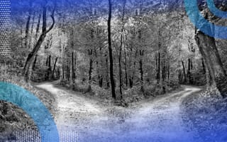classification tree - forest splitting into two different pathways