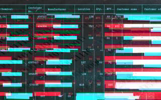 A form with data redacted for testing and anonymity purposes.