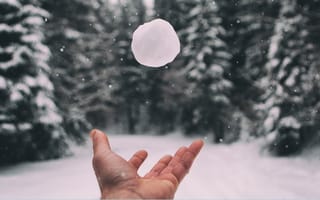 Someone tossing a snowball in the air in a snowy forest