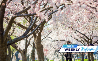 washington dc tech news