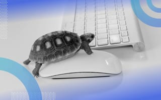 A turtle clicks a mouse next to a keyboard