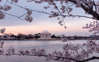 DC funding rounds march