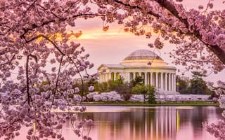 These D.C. Companies Ranked Highest on Forbes’ Best Startup Employers List