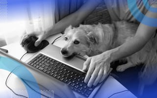 A person sits at a laptop with a mouse while a dog tries to interrupt
