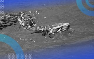 how-to-use-make-float-in-python