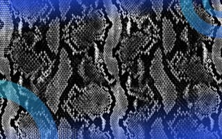 A closeup picture of a python's skin.