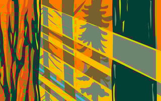 Illustration of sunlight coming through trees in the forest