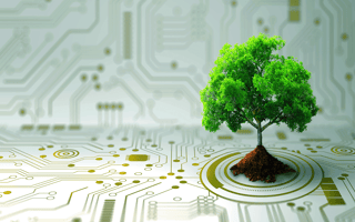 A tree growing out of a surface covered in tech symbols representing carbon neutrality.