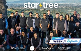 StarTree team