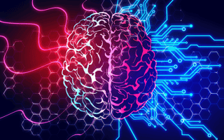 A brain connected to digital commponents to perform cognitive computing tasks.