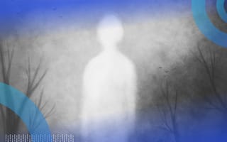 This ghost in a forest might be a journalist, ignoring your media pitches.