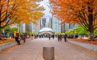 Millennium Park in Chicago during fall
