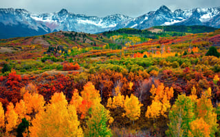 Red and orange trees with mountains in the background