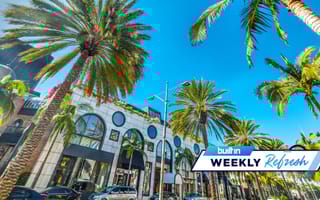 Los Angeles architecture and palm trees