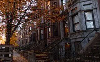 Park Slope brownstones in autumn
