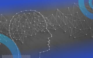 A head with a fully connected layer neural network.