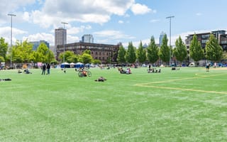 Cal Anderson park nearby Pebble's offices.