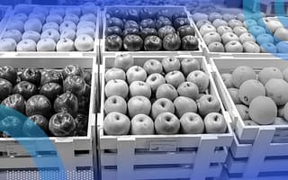 Different fruits sorted into baskets by type.