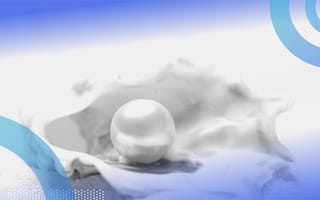 Perl a single pearl inside an oyster