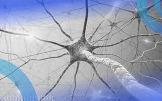 5 Deep Learning and Neural Network Activation Functions to Know neural network