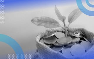 compensation and benefits image of a bag full of gold coins and a leafy green plant growing out of the middle of it.