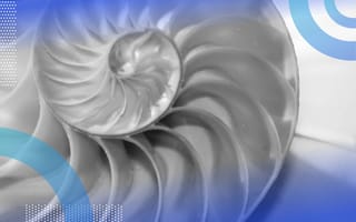 What Is the Fibonacci Sequence? Fibonacci sequence image of a seashell’s spiral demonstrating the fibonacci sequence occurring in nature