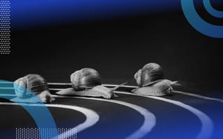 Latency image of three snails in a race