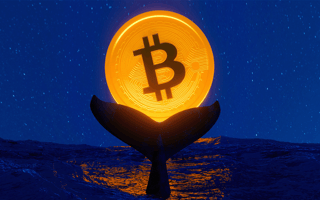A whale's tail holding up a Bitcoin coin.
