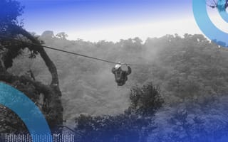 A person traversing trees on a zip line.
